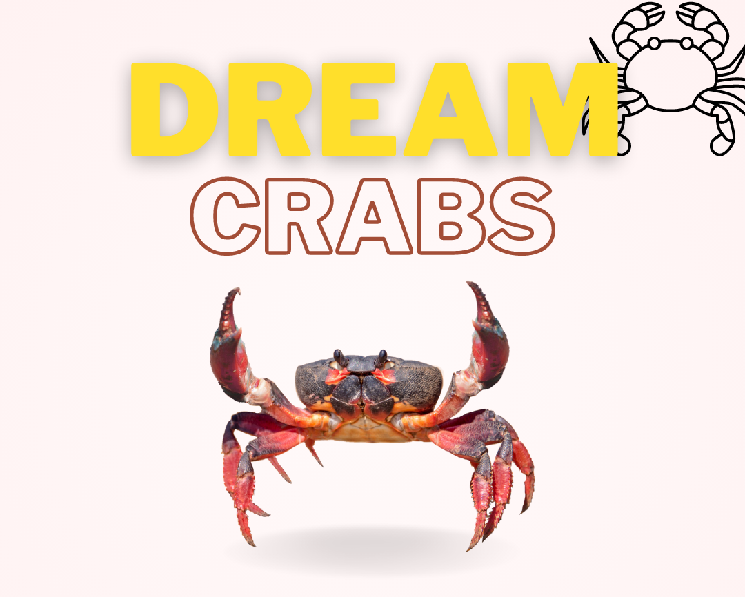 Dream-of-Crabs