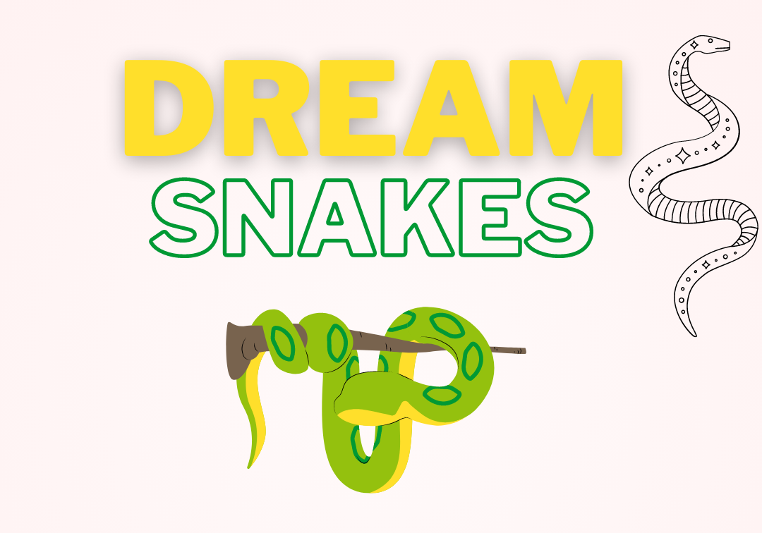 Dream-about-Snakes
