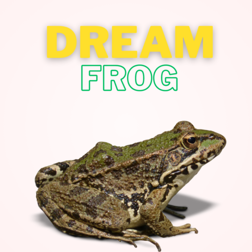 dream-of-frog