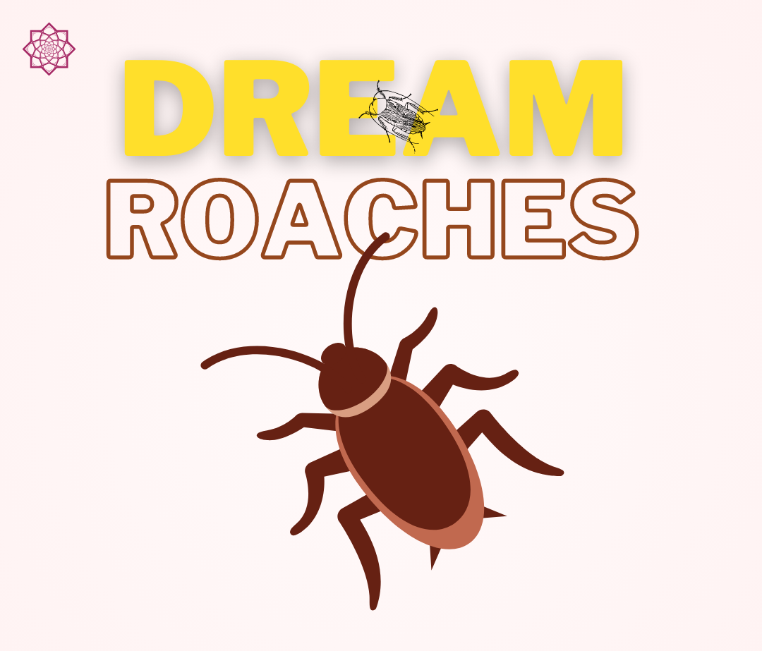 Dream of Roaches